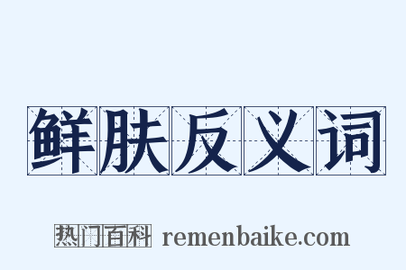 鲜肤反义词是什么意思的图片